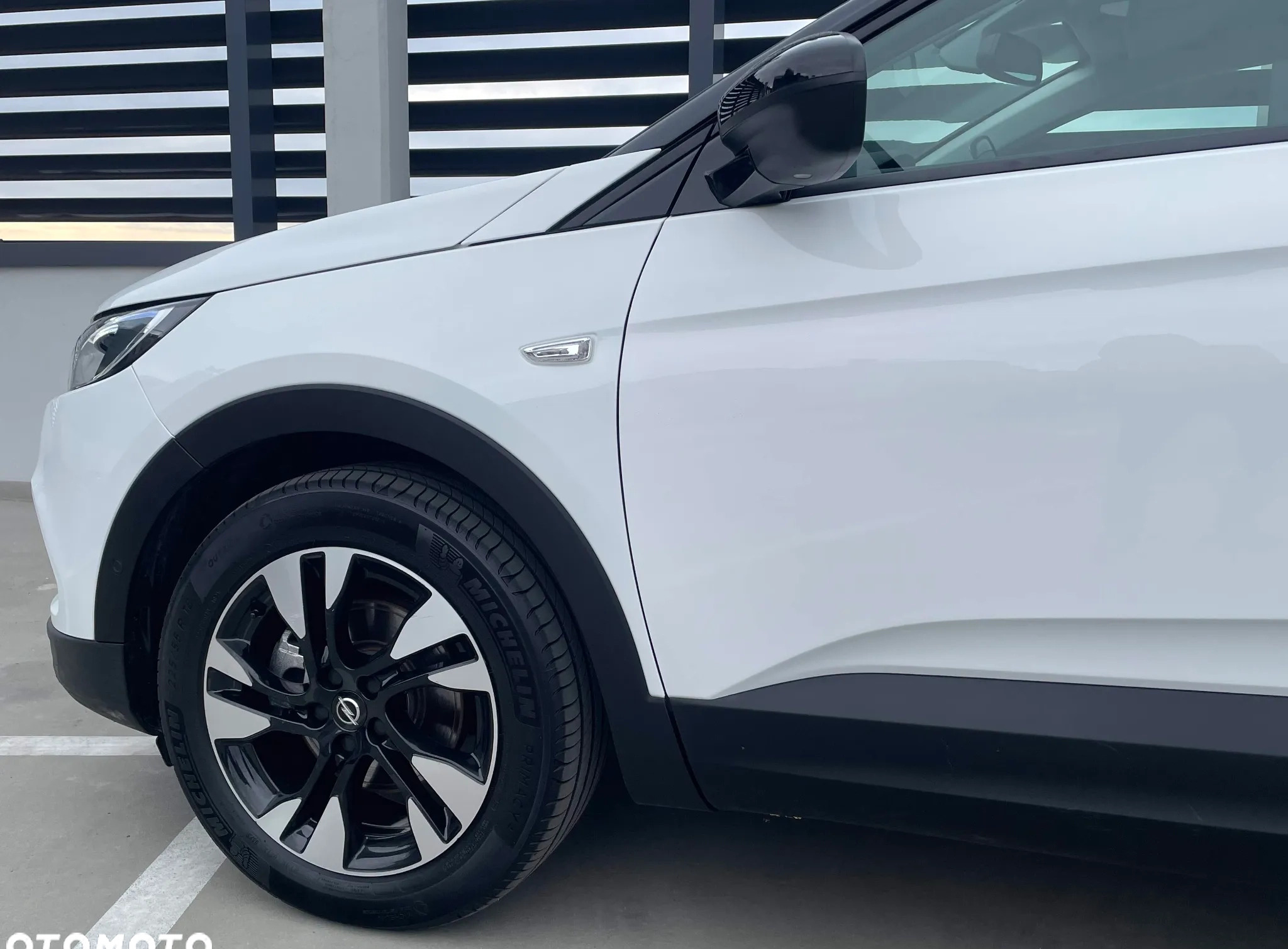 Opel Grandland X cena 89900 przebieg: 45200, rok produkcji 2021 z Rzeszów małe 704